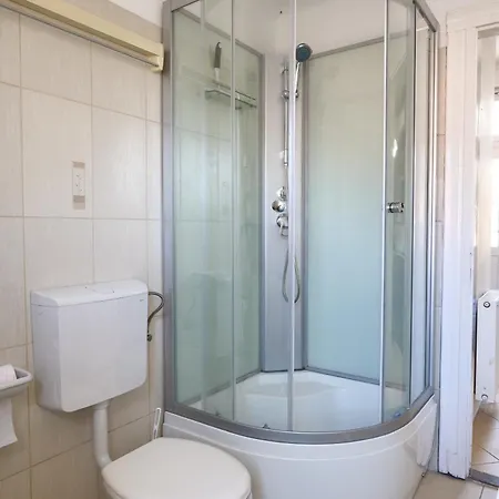 Begonia * ブダペスト