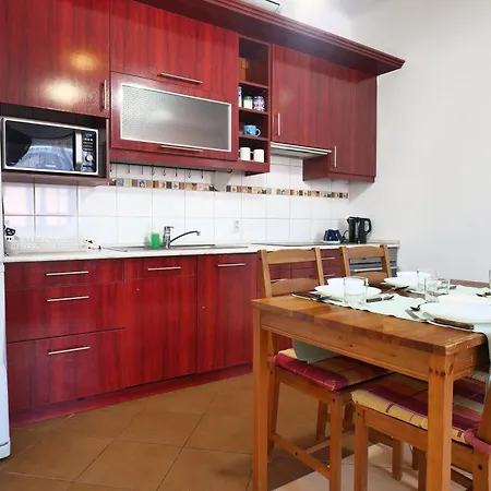 Begonia * ブダペスト